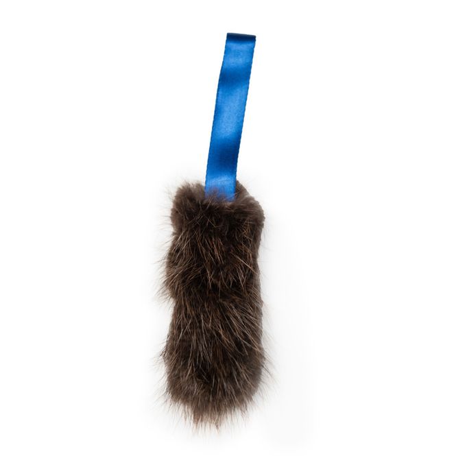 Hovedbilde Doggie-Zen Liten kampleke med bever