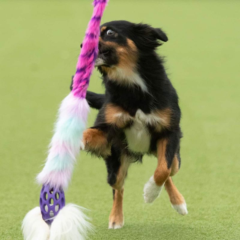 Doggie-Zen Lang jaktleke med sau, fuskepels og nettingball