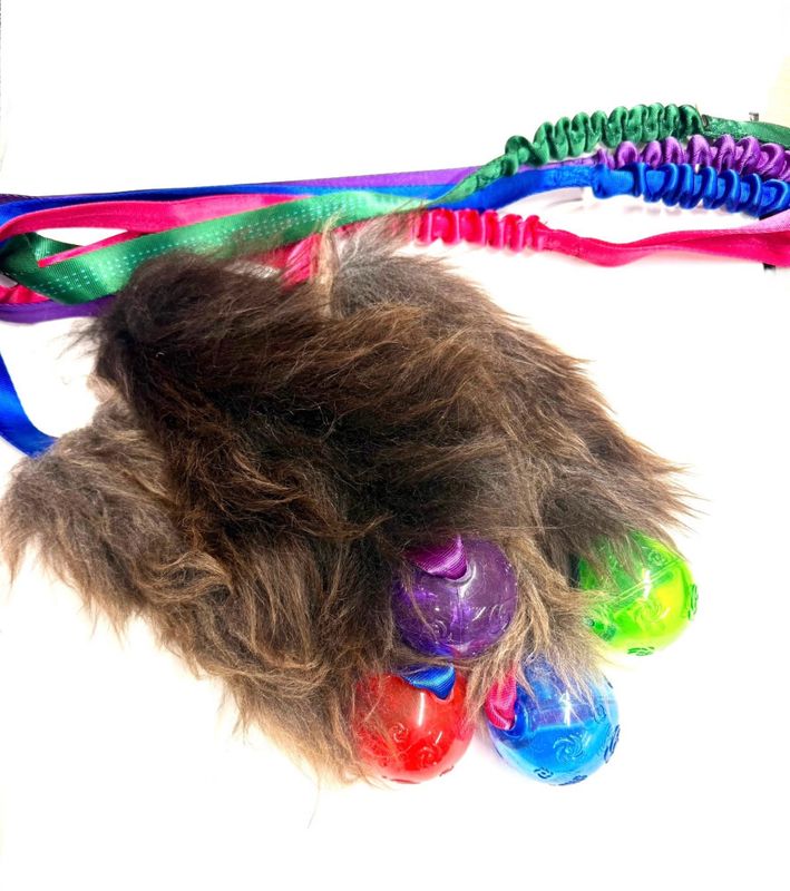 Doggie-zen jaktleke med KONG squeezz pipeball