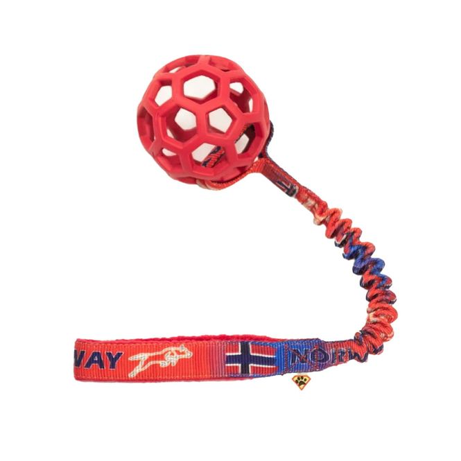 Hovedbilde Dog's Craft Hol-ee roller nettingball med ...