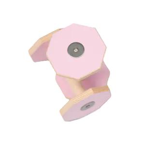 Hovedbilde Internasjonal apport til lydighet