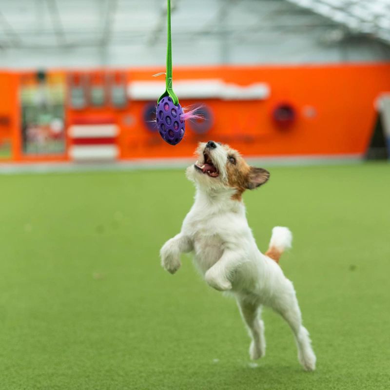 Doggie-Zen Sure grip hol-ee football