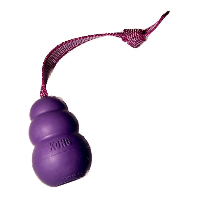 Doggie-Zen Sure grip KONG