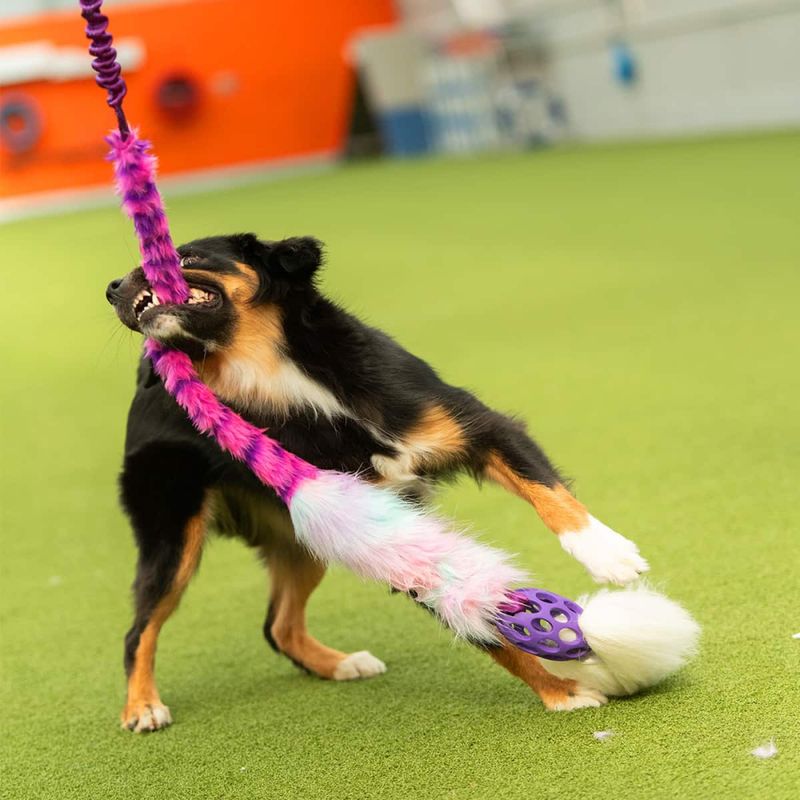 Doggie-Zen Lang jaktleke med sau, fuskepels og nettingball
