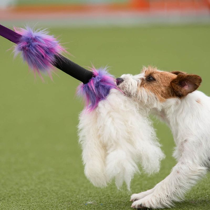 Doggie-Zen Pipeblekksprut med saueskinn