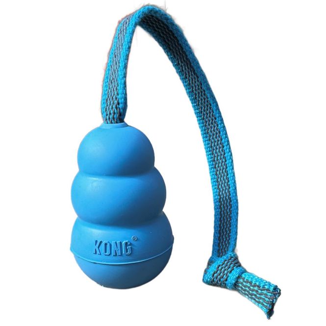 Hovedbilde Kong puppy med tau