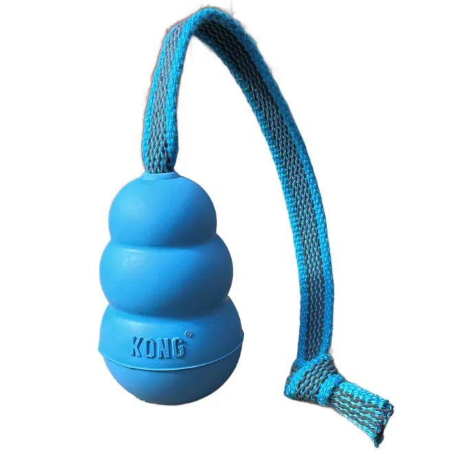 Hovedbilde Kong puppy med tau