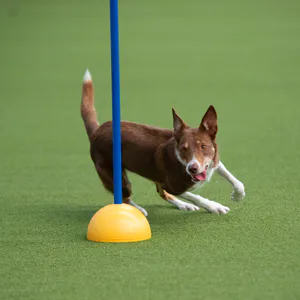 Hovedbilde Halvkule til pinne
