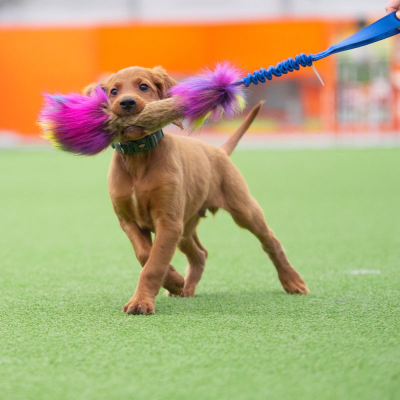 Doggie-Zen Elastisk pipeleke med kaninpels