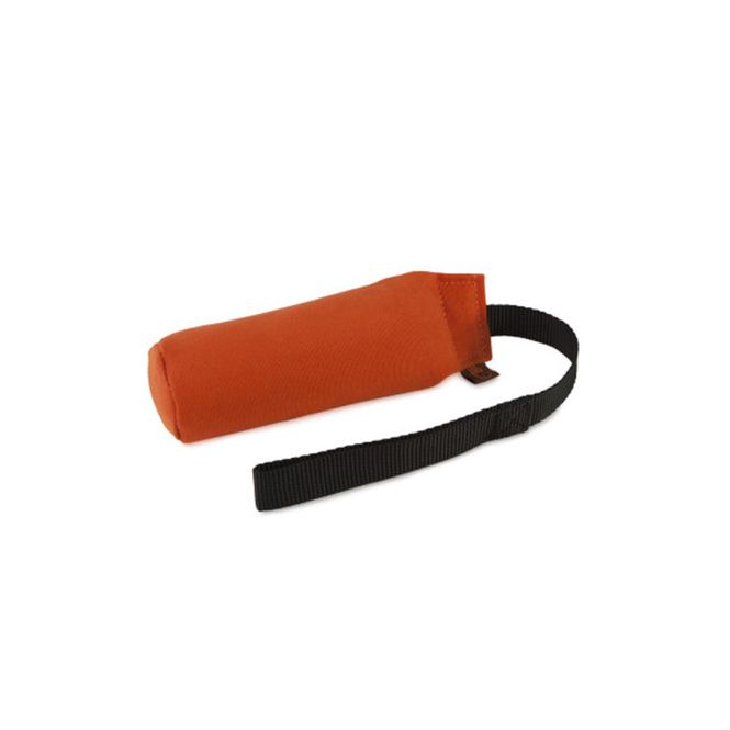 Hovedbilde Firedog Speedy dummy