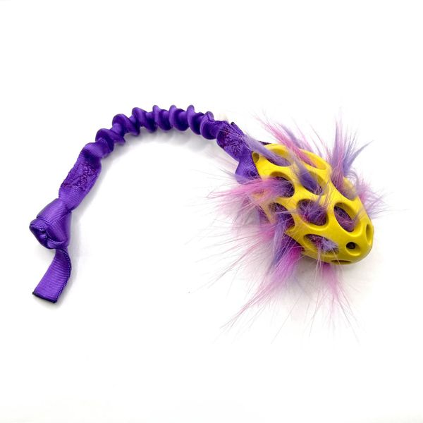 Doggie-zen kampleke med Hol-ee football