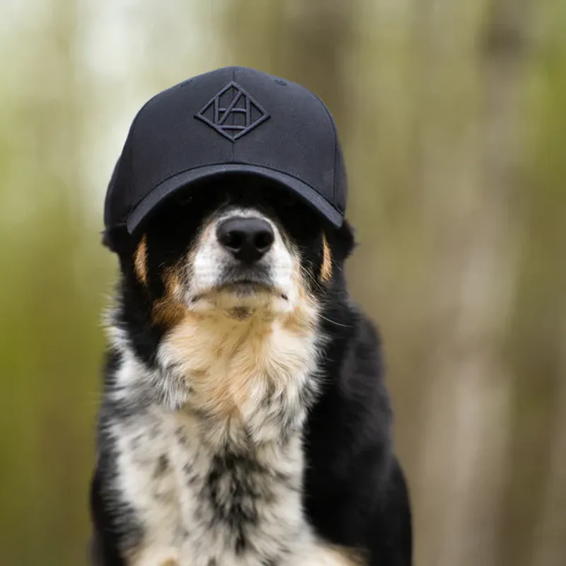 HUNDLANDS Caps