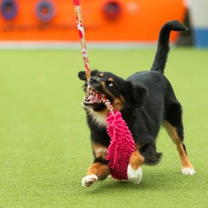 Hovedbilde Zayma Winter Mop