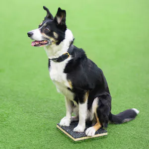 Hovedbilde Plattform med kunstgress