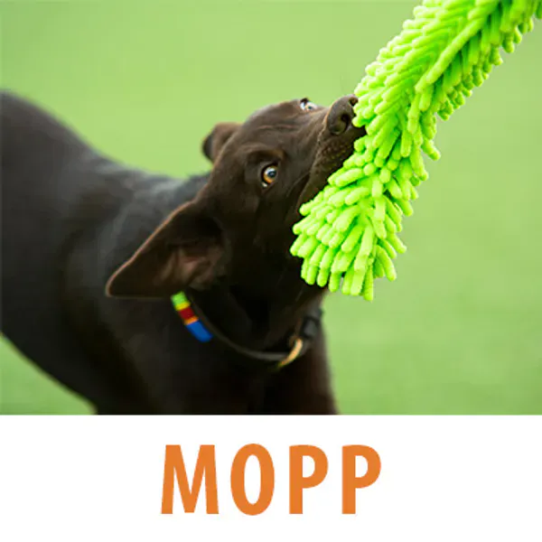 mopp leke til hund