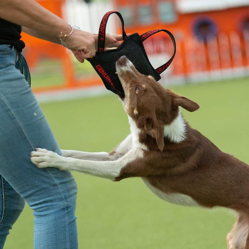 Genuin Dogsport bitepute