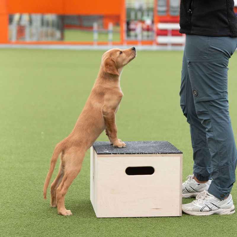 Jump box