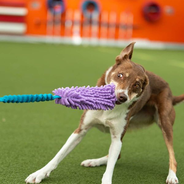 Zayma Mopp med og uten pip