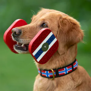 Hovedbilde Zinj Design Hundehalsb&aring;nd Norge